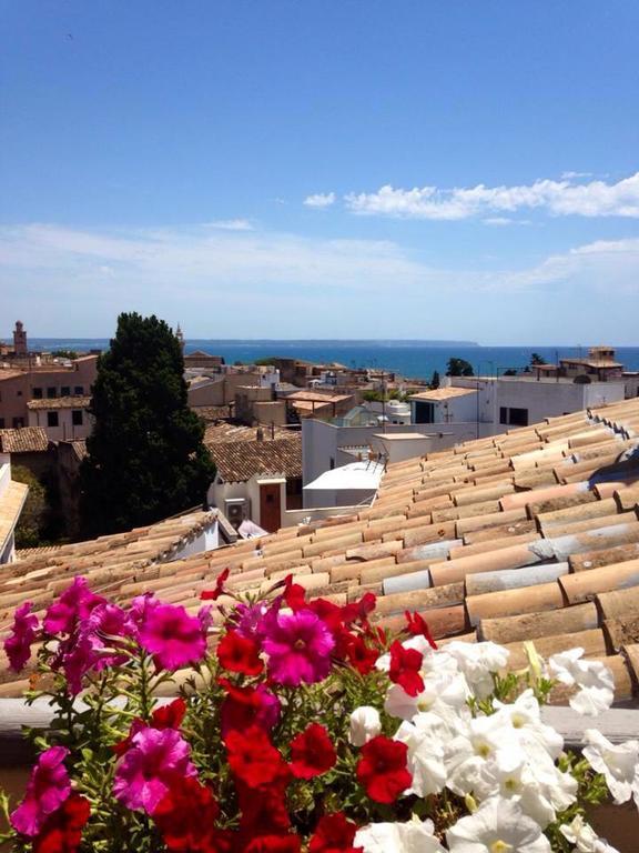 Hostel Pura Vida - Albergue Juvenil Palma de Mallorca Dış mekan fotoğraf
