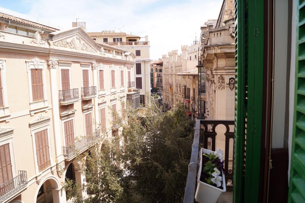 Hostel Pura Vida - Albergue Juvenil Palma de Mallorca Oda fotoğraf